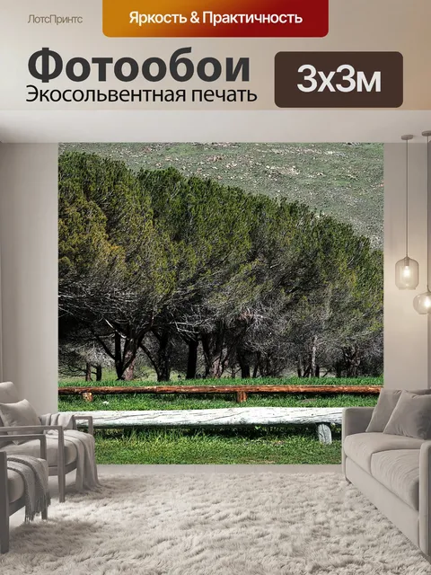 Фотообои Ряд деревьев