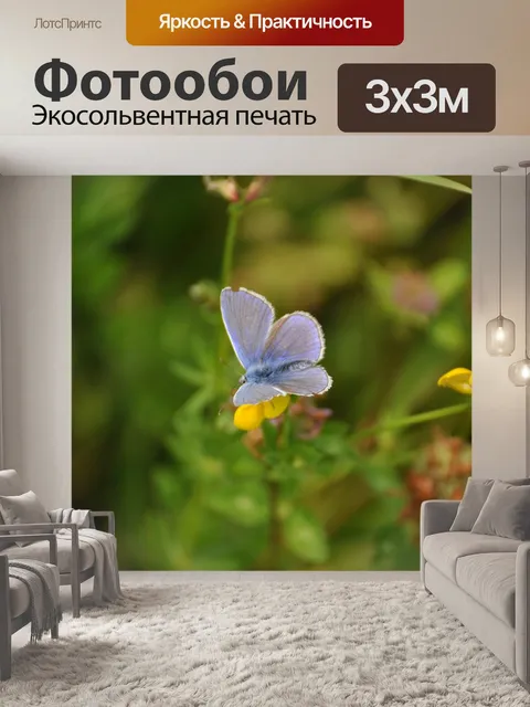 Фотообои Бабочка
