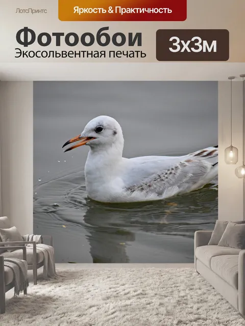 Фотообои Вода