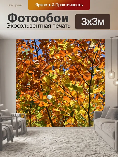Фотообои Листы