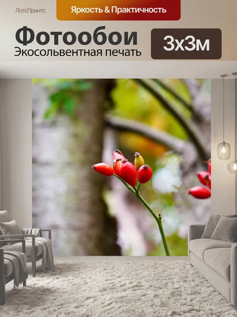 Фотообои Природа