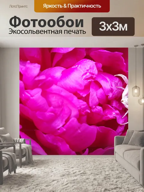 Фотообои Цветы