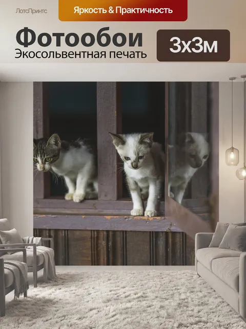 Фотообои Отражение