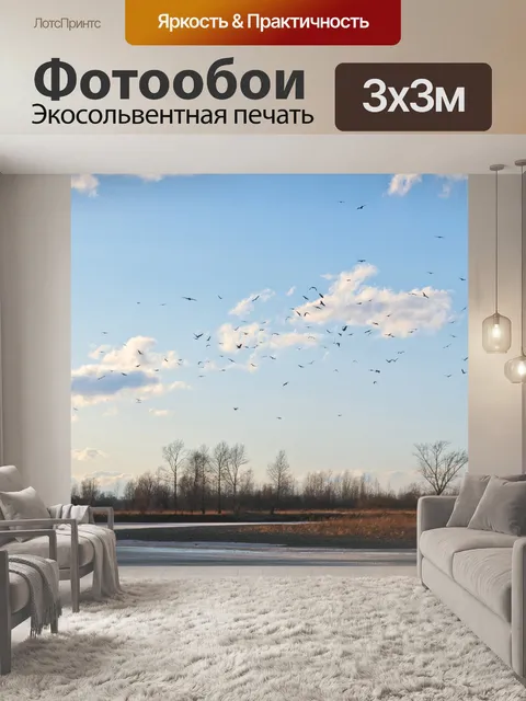 Фотообои Стая птиц на фоне