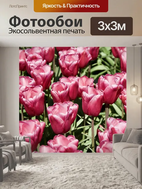 Фотообои Тюльпаны