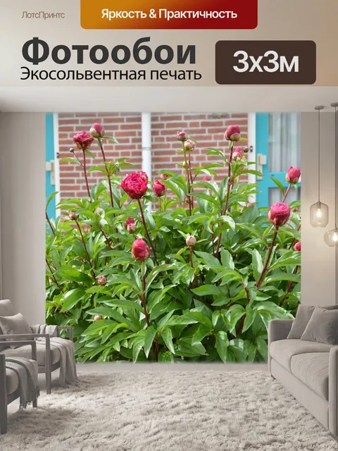 Фотообои Голландские цветы в саду