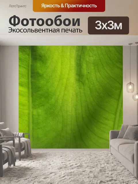 Фотообои Крупным зеленый лист таро