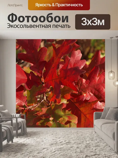 Фотообои Дубовые листья