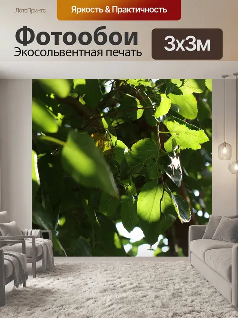 Фотообои Листья