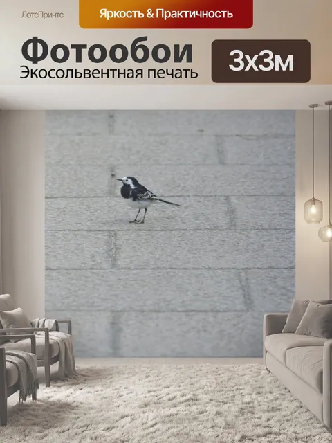 Фотообои Трясогузка на мощеном тротуаре
