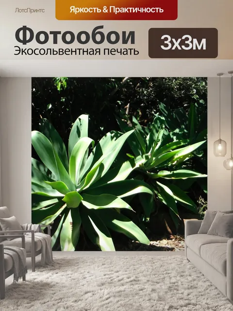 Фотообои Agave