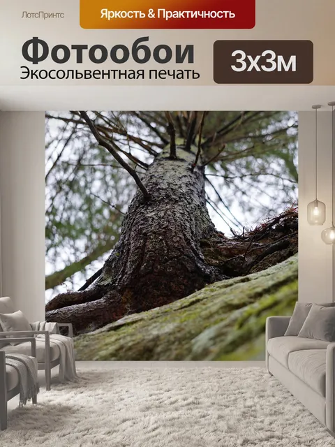 Фотообои Дерево