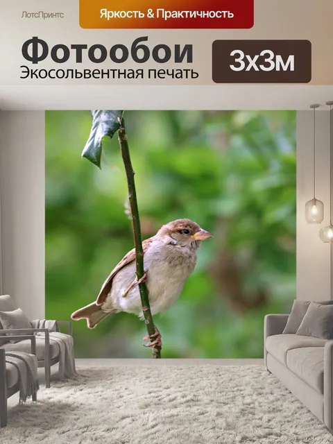 Фотообои Воробей