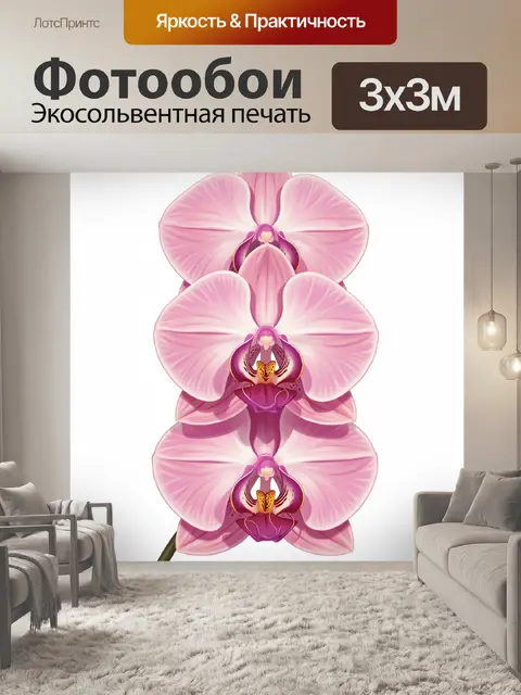 Фотообои Розовые цветы орхидеи крупным планом