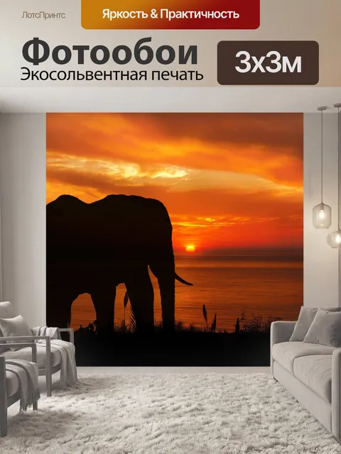 Фотообои Слон закат силуэт