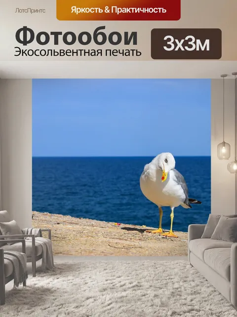 Фотообои Пр