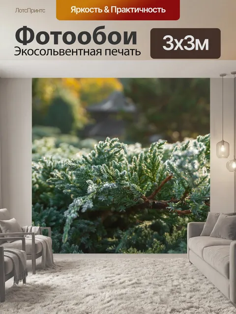 Фотообои Деревья