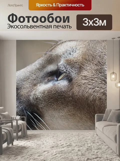 Фотообои Горный лев