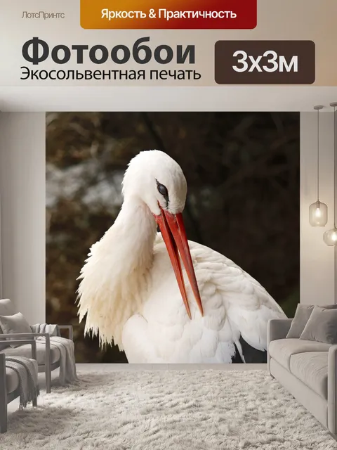 Фотообои Белый аист Preening