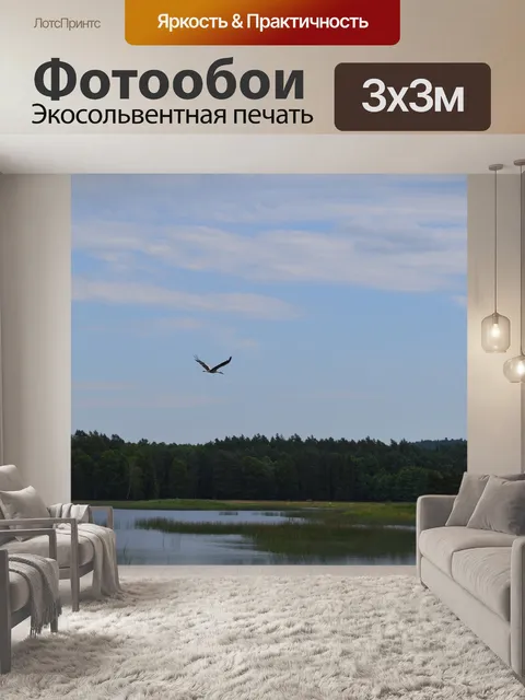 Фотообои Аист