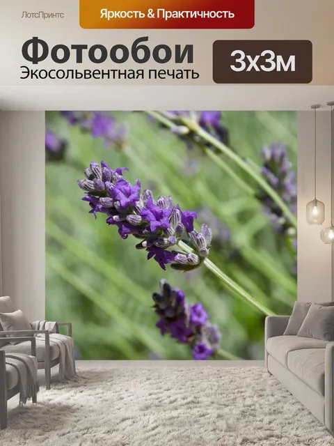Фотообои Лаванда