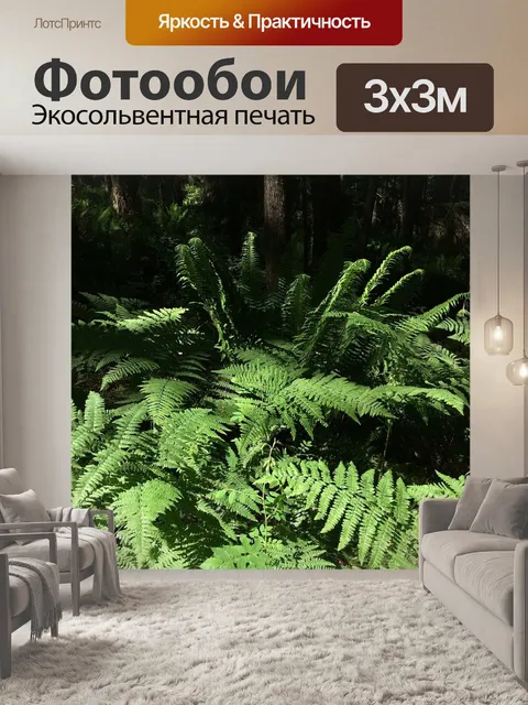 Фотообои Папоротники