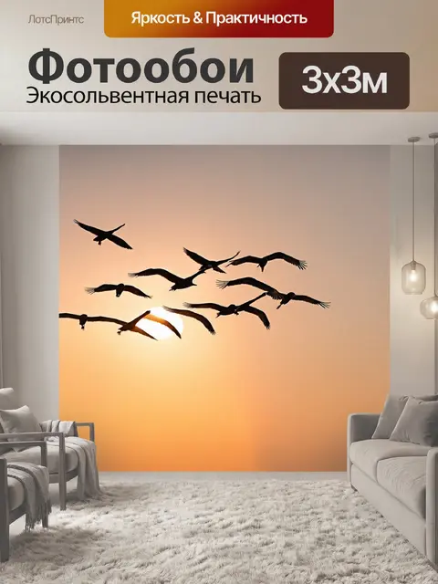 Фотообои осень: стая мигрирующих птиц, перелетающих через закатное небо