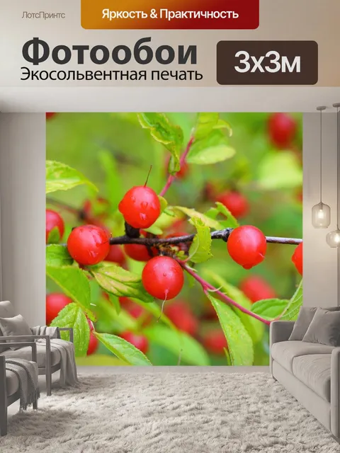 Фотообои Арбор