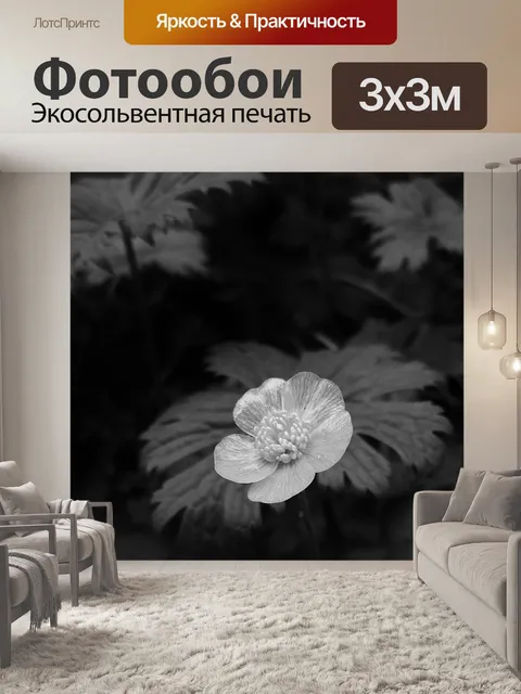 Фотообои Цветок