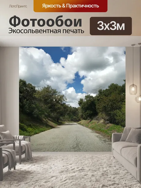 Фотообои Проселочная дорога