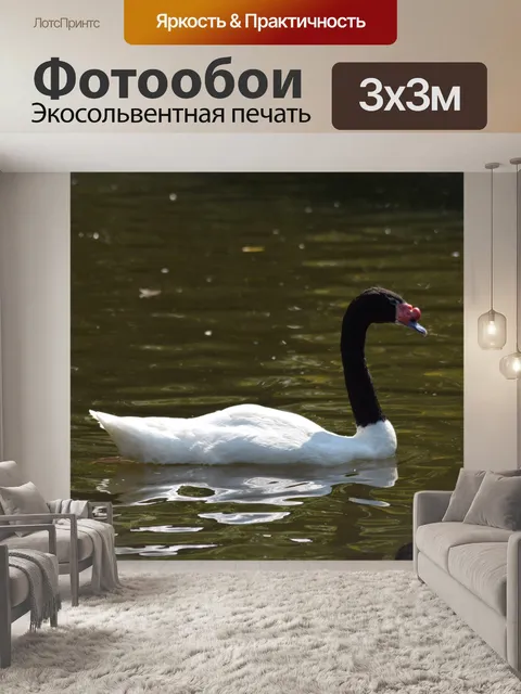 Фотообои Черное на белом 2