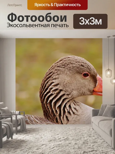Фотообои Гусь
