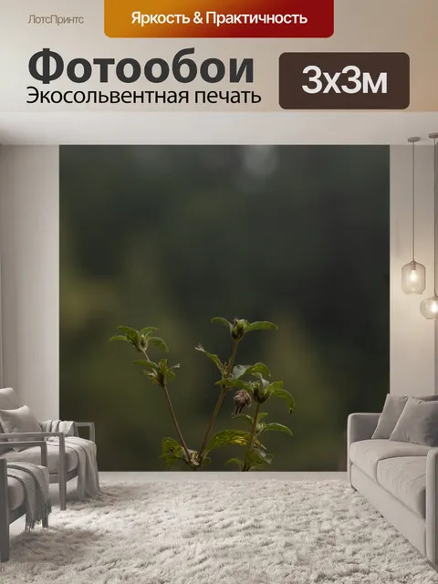 Фотообои Цветы