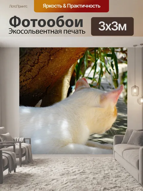 Фотообои Кошка