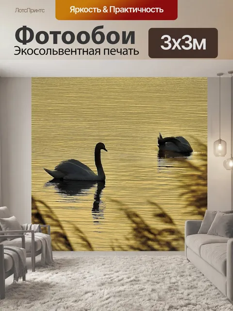 Фотообои Птица