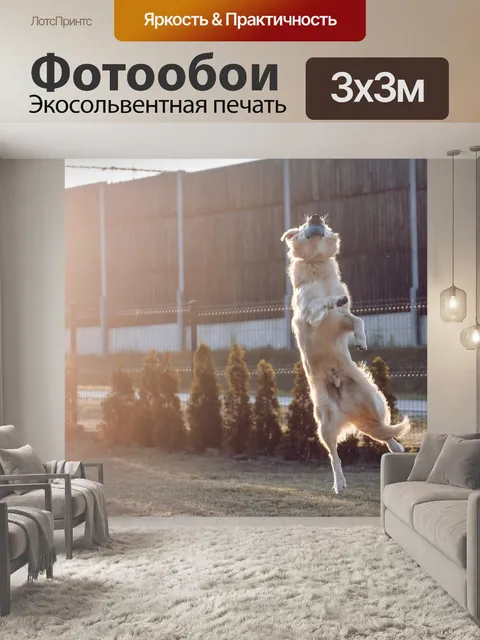Фотообои Золотой