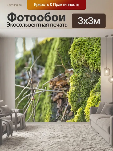 Фотообои Лес