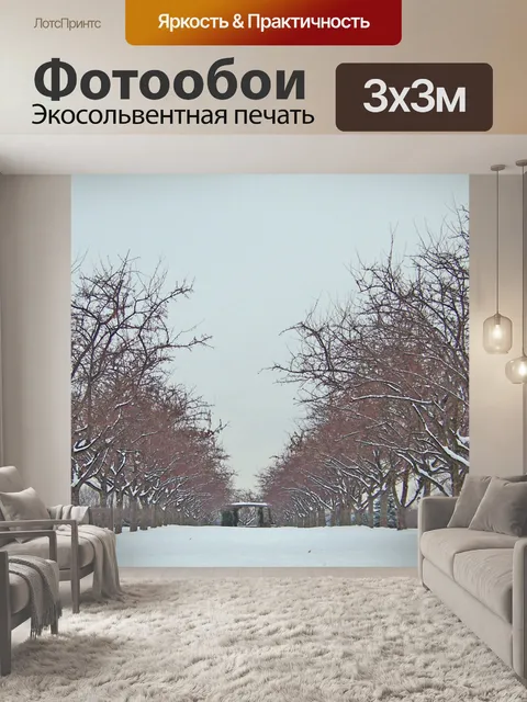 Фотообои Ряды деревьев