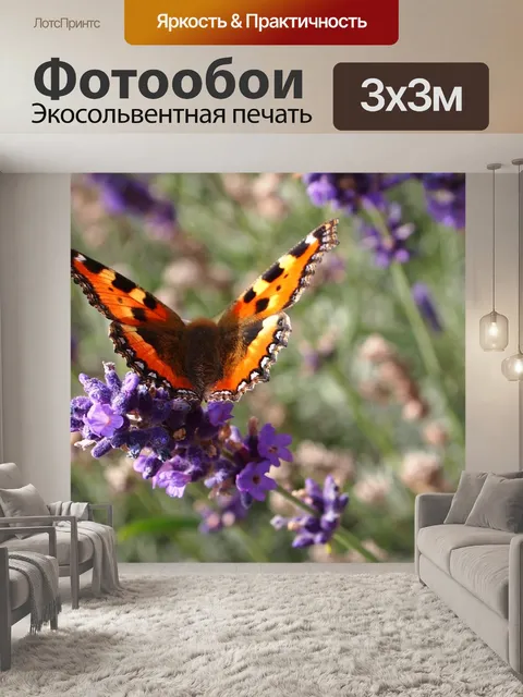 Фотообои Бабочка
