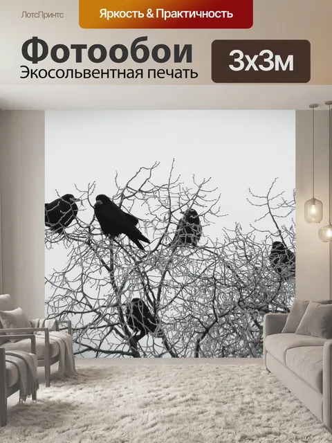 Фотообои Ворона