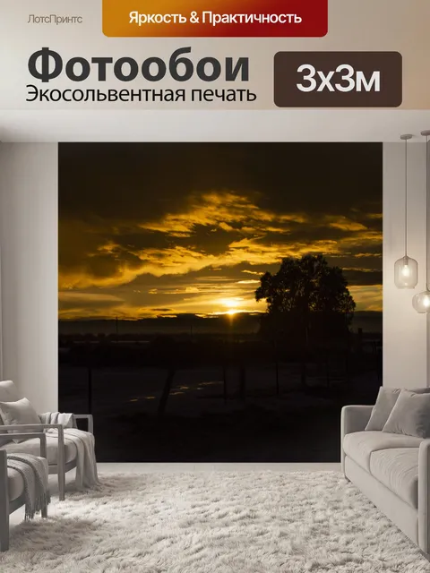 Фотообои Золотой силуэт заката