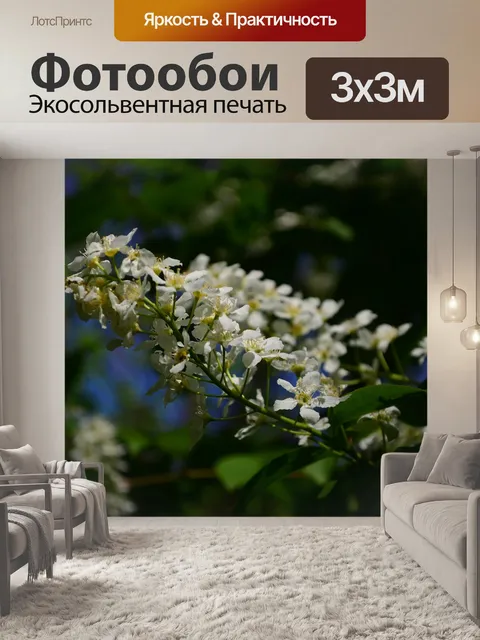 Фотообои Цветы