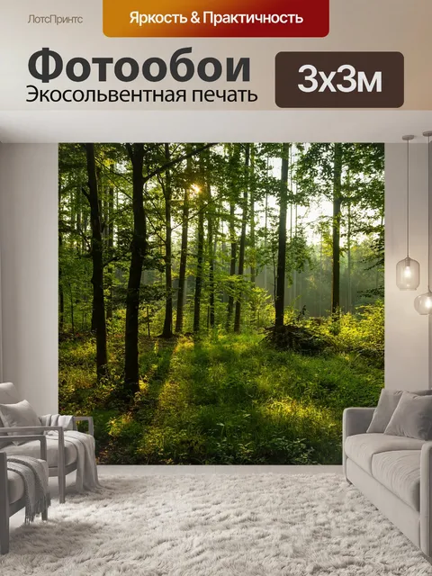 Фотообои Лес