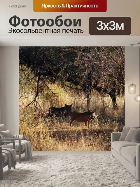 Фотообои два бородавочника в солнечном свете в ку