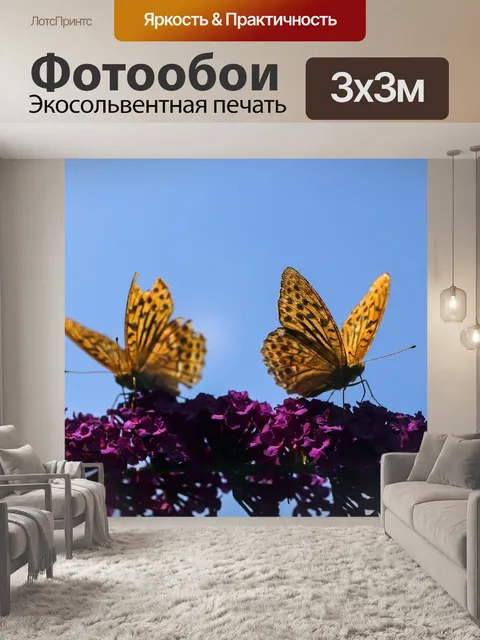 Фотообои Бабочки