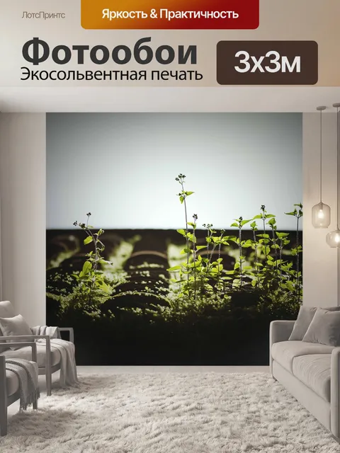 Фотообои Старый квартал