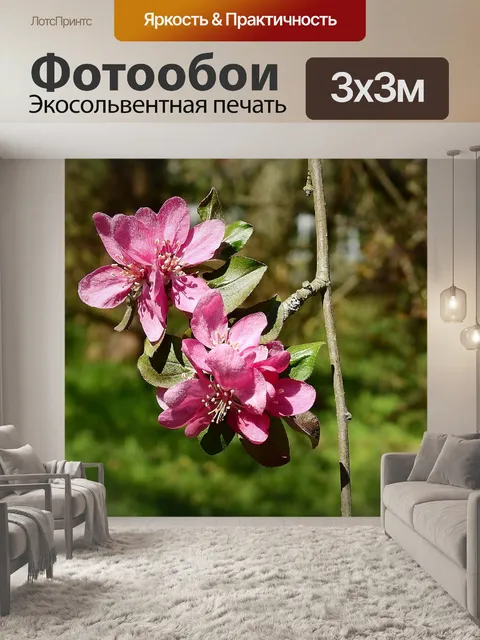 Фотообои Цветы