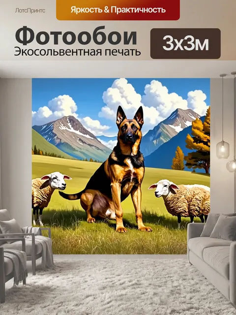 Фотообои изобразите бельгийскую овчарку малинуа, охраняющую пастбище с овцами на фоне гор