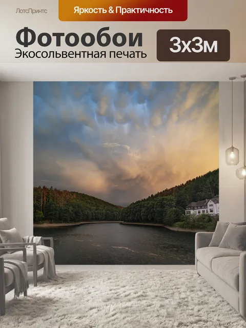 Фотообои Лес