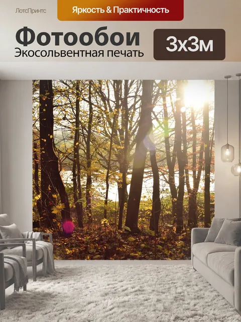 Фотообои Лес